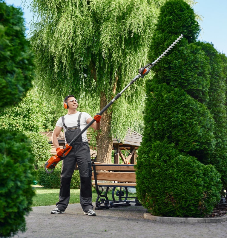 Gartenpflege in Attendorn – Heckenschnitt & Unkrautentfernung vom Experten